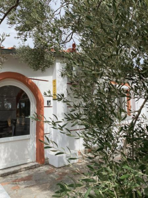 Resort Dimitris